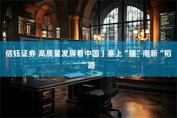 信钰证券 高质量发展看中国丨塞上“疆”南新“稻”路
